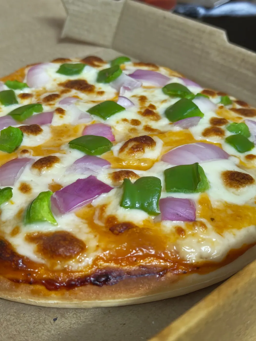 Fresh 100% vegetarian pizza with onion and capsicum at Burger Minister Sector 58 Noida